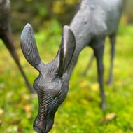 Stag and Doe Garden Sculpture Large