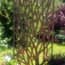 Wild Branches Steel Decorative Garden Screen Art