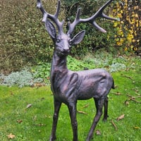 Large Stag Sculptures