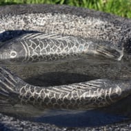 Koi Carp Black Limestone Birdbath