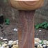 Twisted Bowl Rainbow Sandstone Water Feature