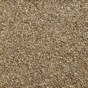 Autumn Gold 0.4m Decorative Grit Dry