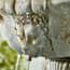 Lioness Stone Water Feature Lion Detail