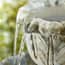 Lioness Stone Garden Fountain Bowl Detail