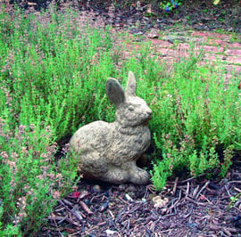 Cottontail Rabbit Statue