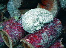 Dozing Hedgehog Statue