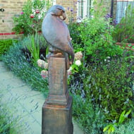 Stone Eagle in Umber