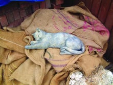 Sleeping Cat Statue