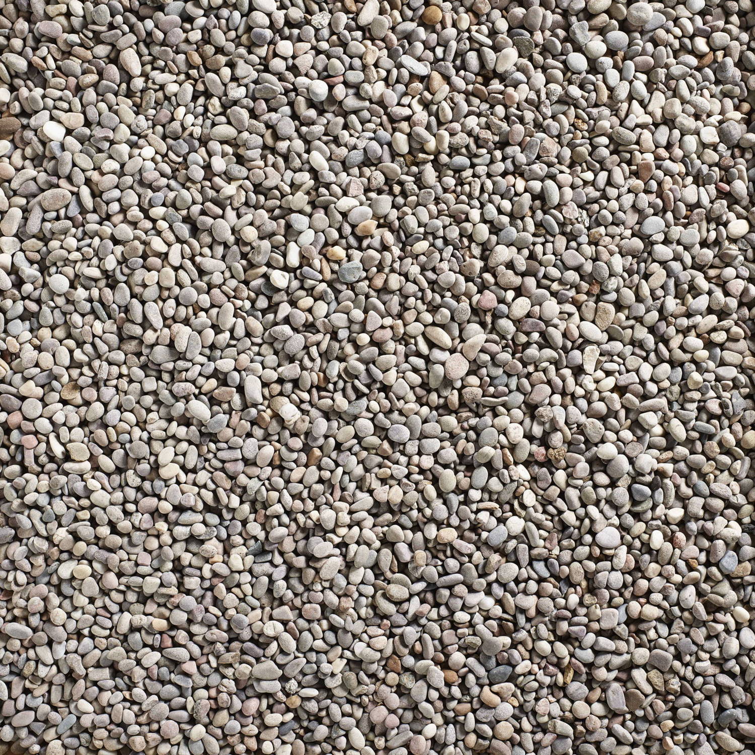 Caledonian Decorative Pebbles 750kg Bag