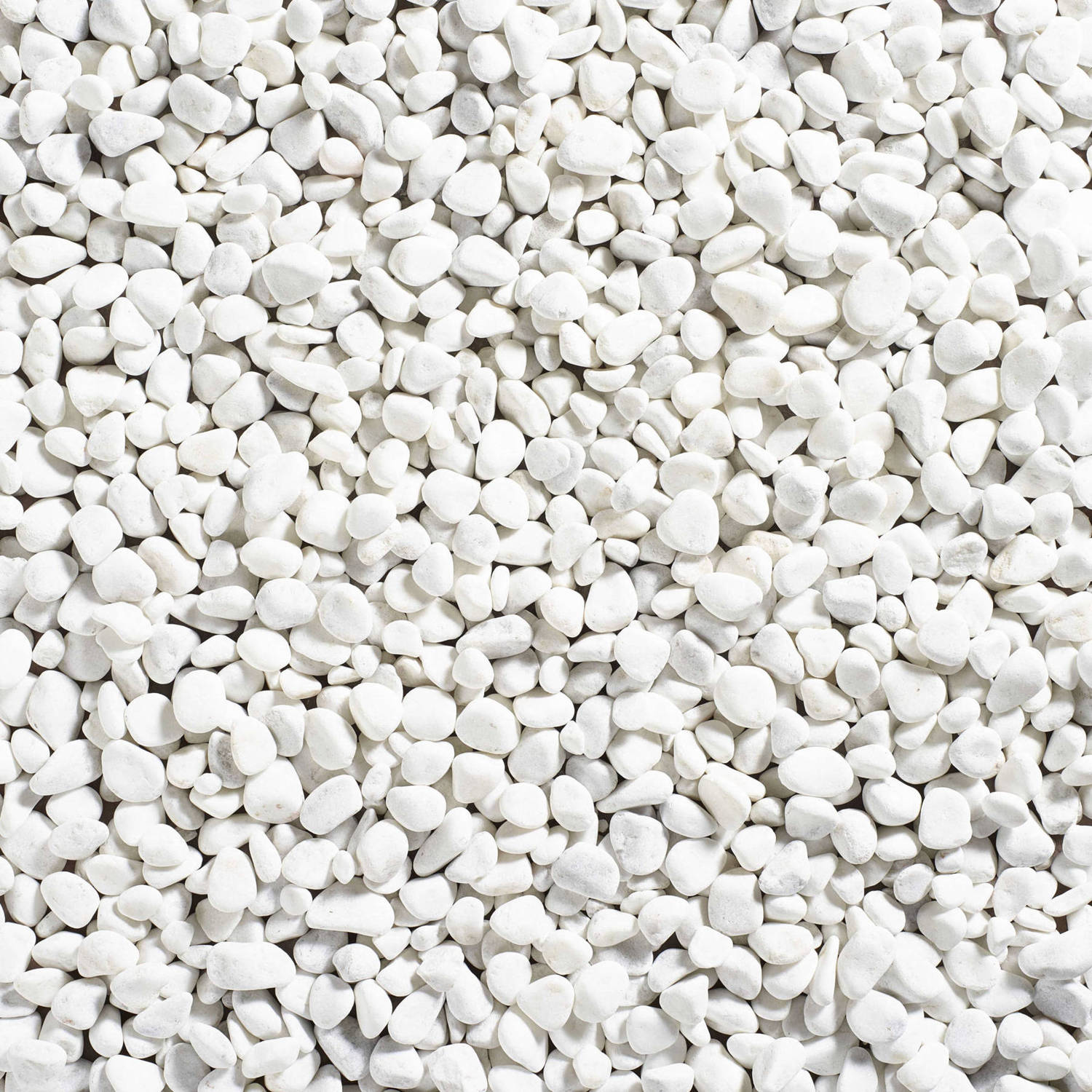 Coral White Decorative Pebbles Stones.