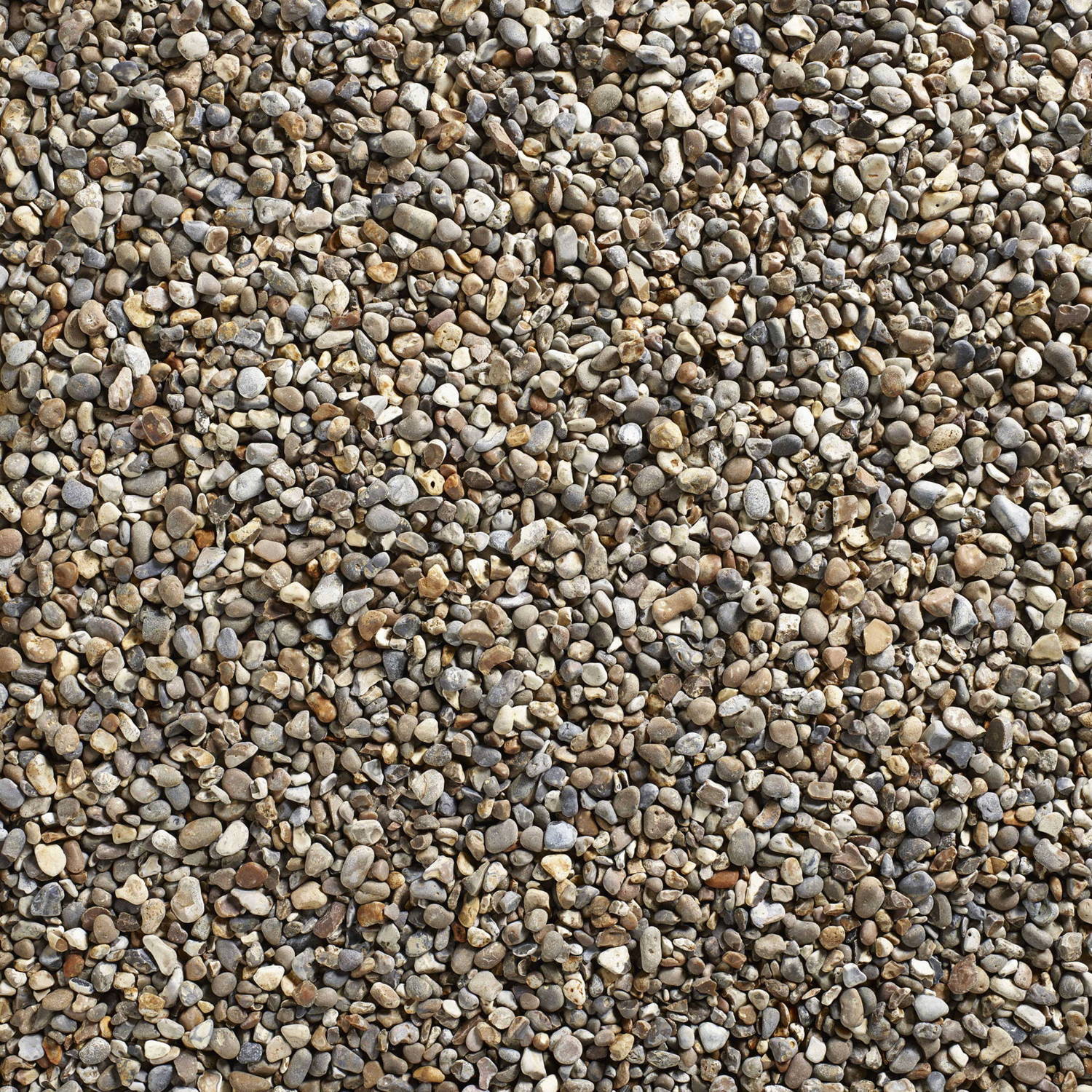 Oyster Pearl Decorative Pebbles Bulk Bag