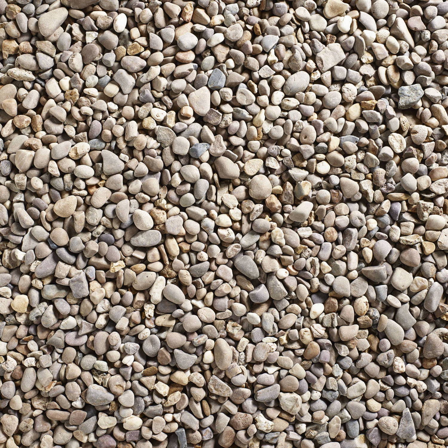 Coastal Decorative Pebbles Stones
