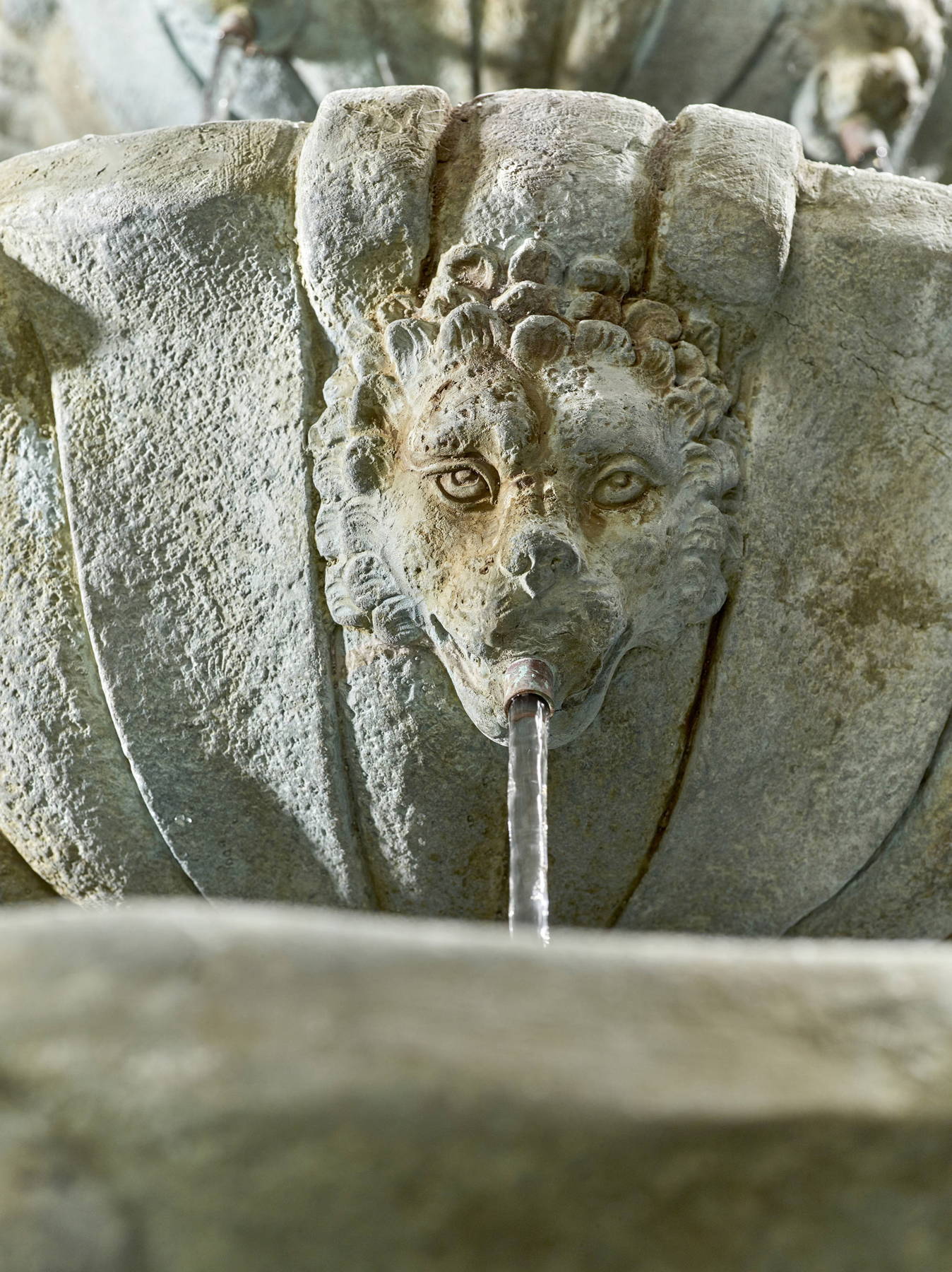 Lioness Stone Garden Fountain Detail