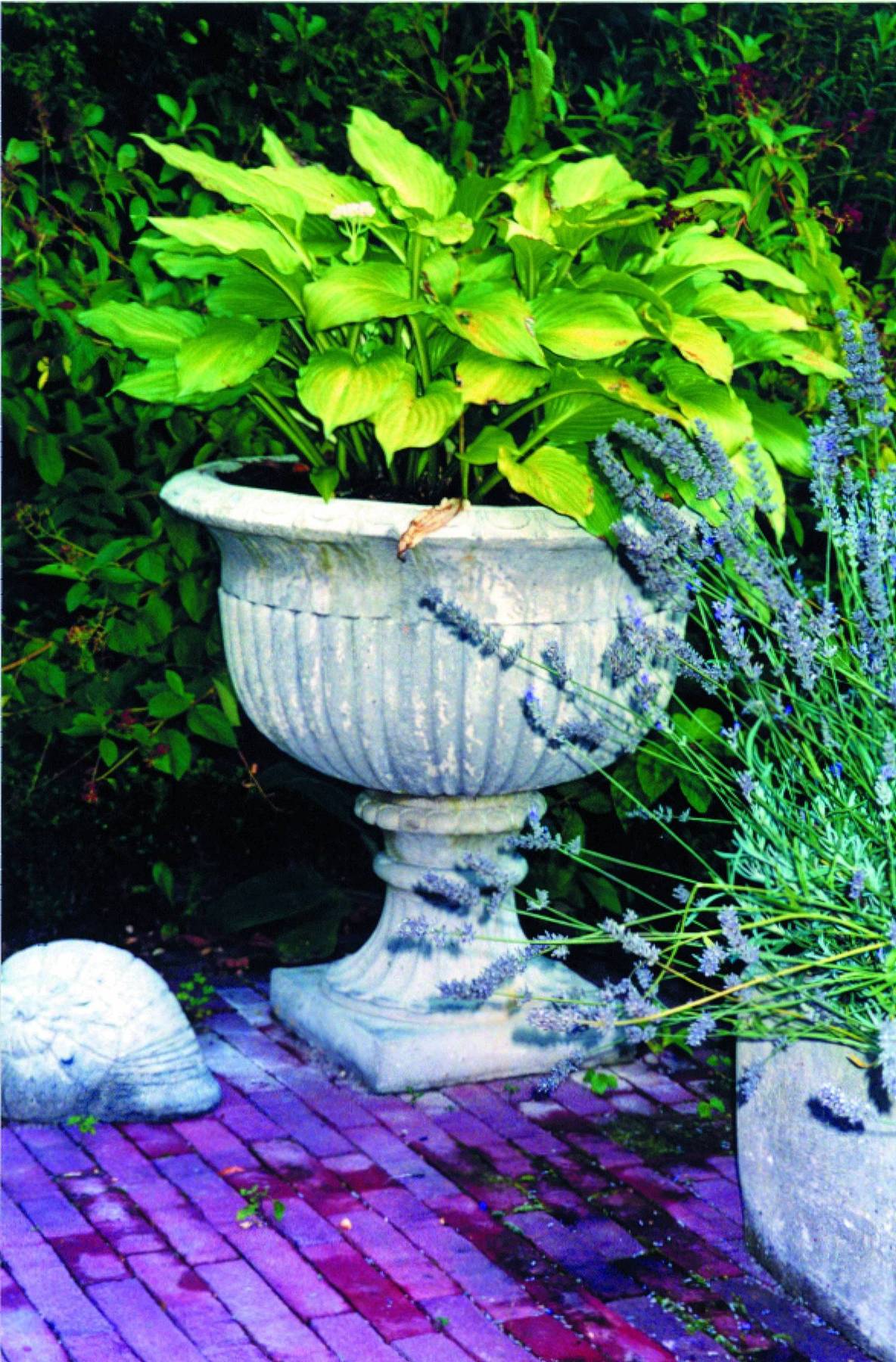 Garden Urns and Vases