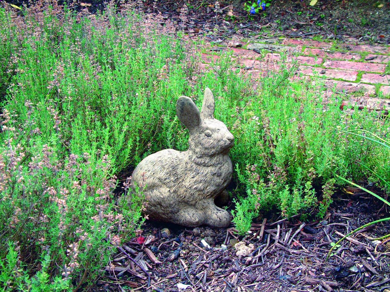 Cottontail Rabbit Statue