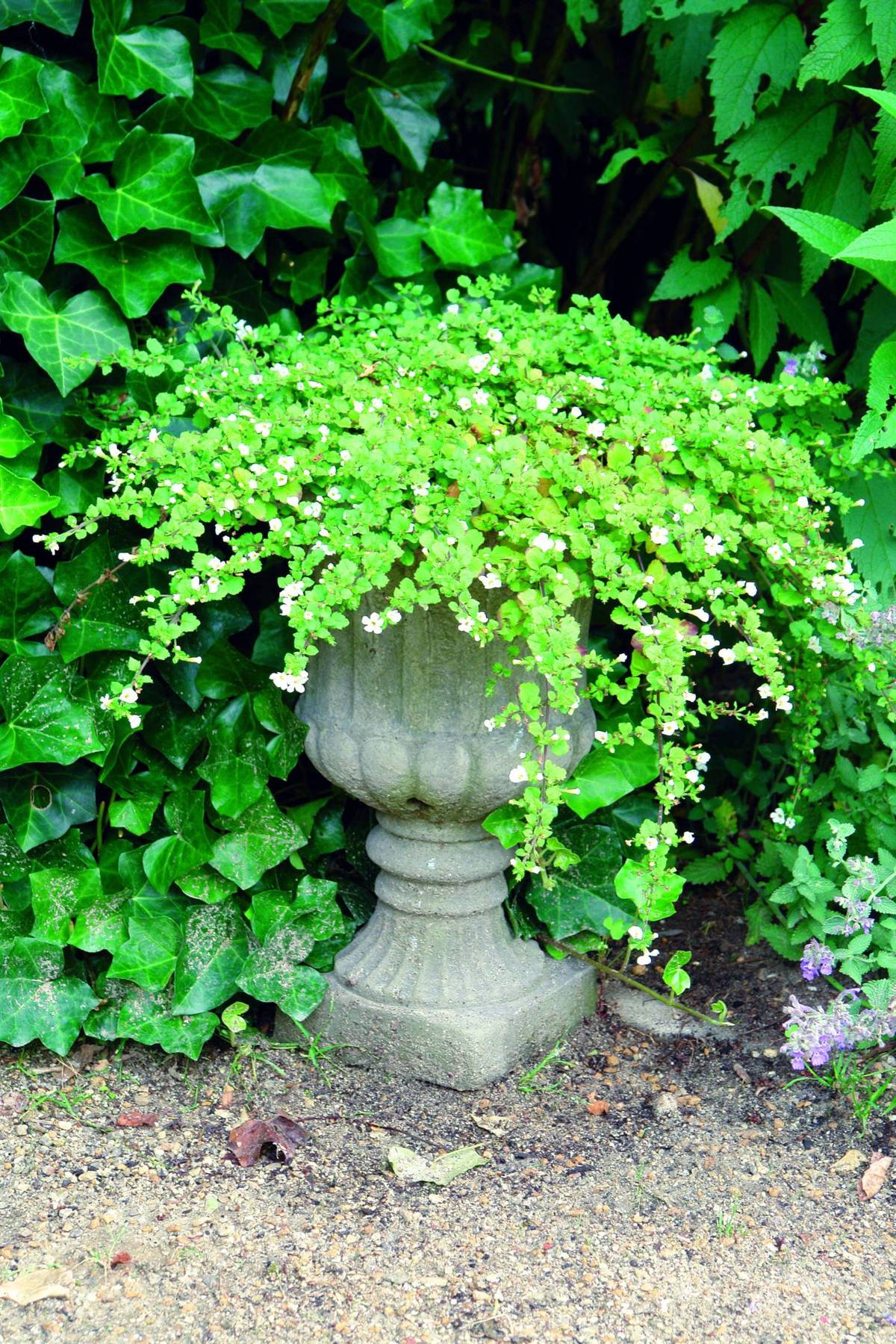 Vienna Classic Stone Garden Vase