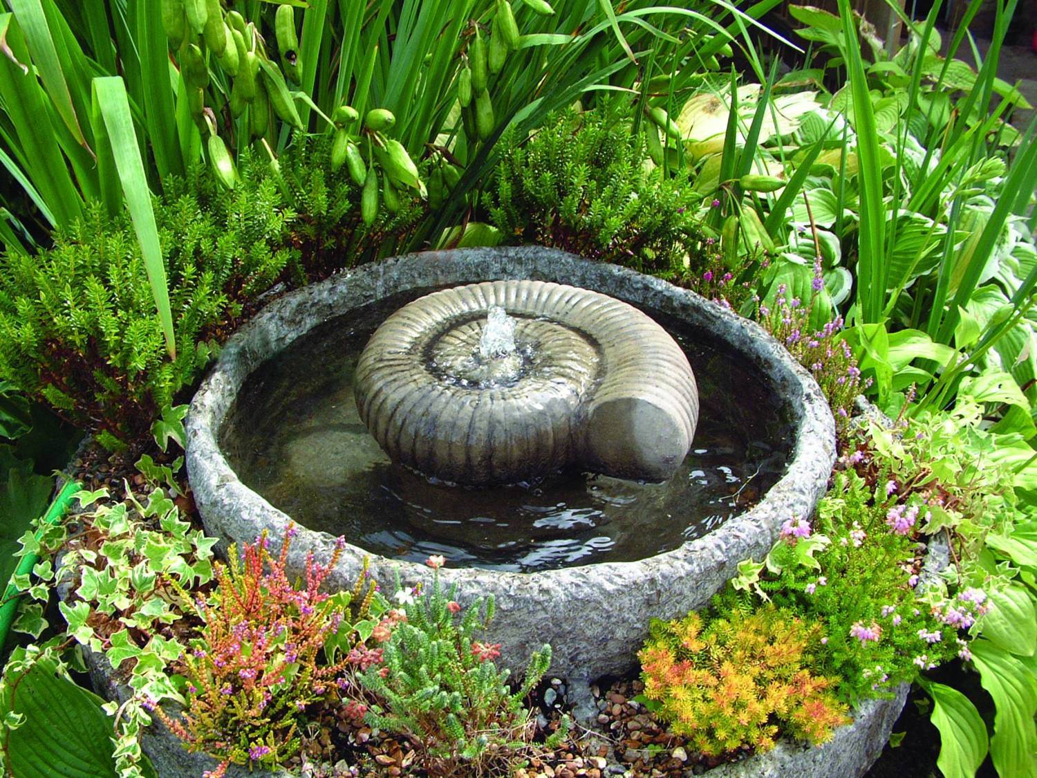 Large Ammonite Stone Fountain
