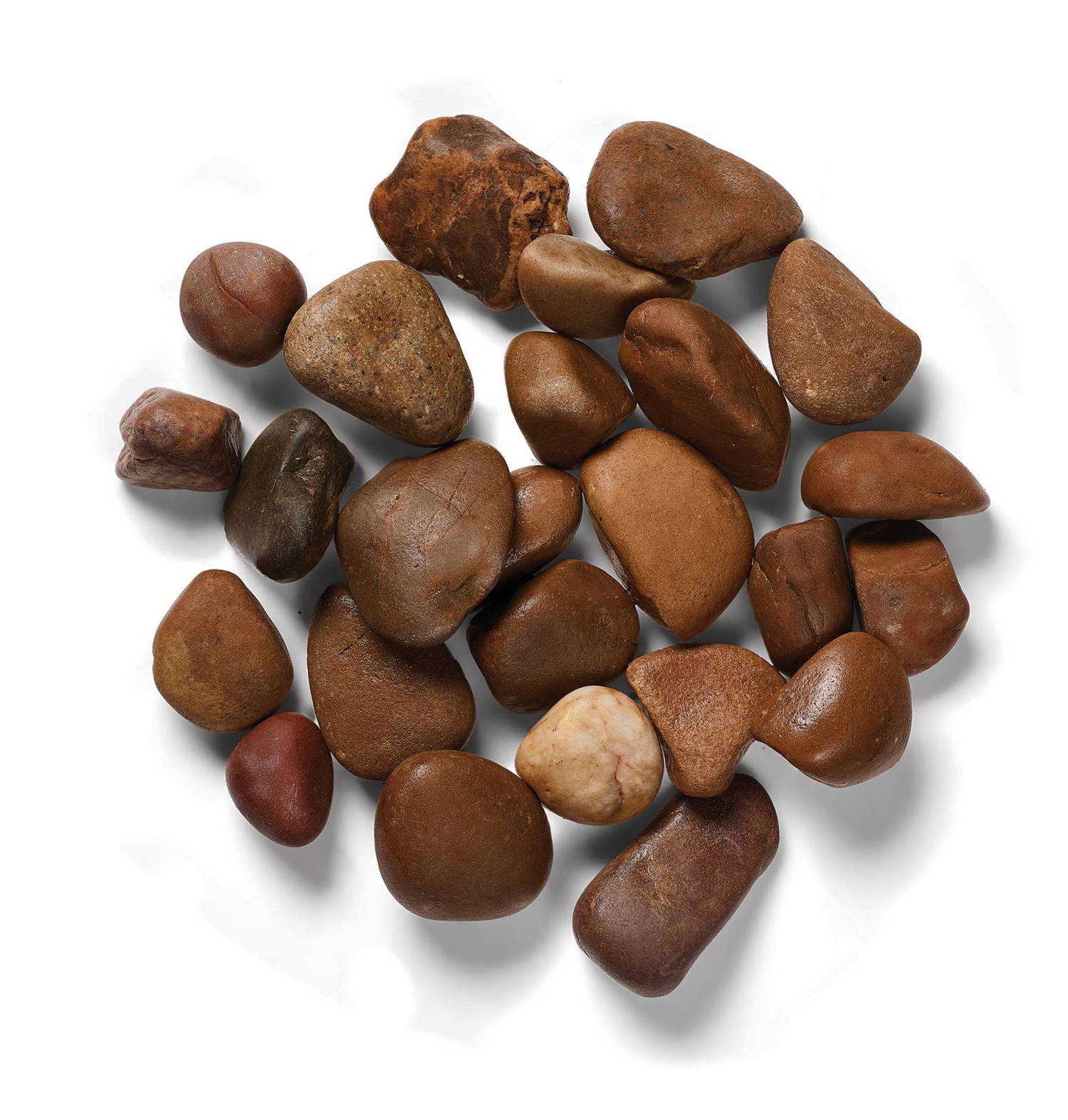 Coastal Decorative Pebbles Bulk Bag Garden Ornamnents