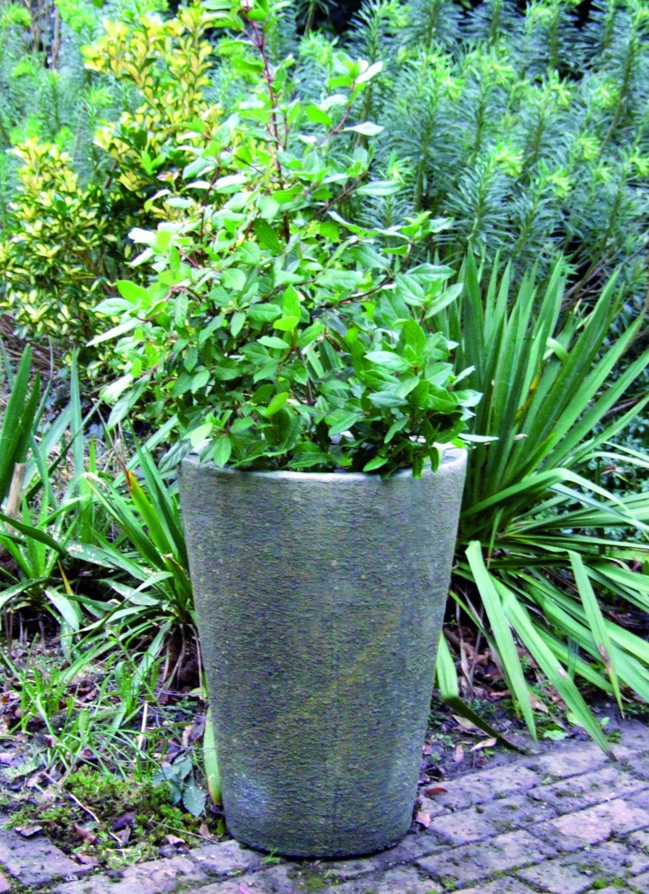 Grand Long Tom Stone Garden Pot