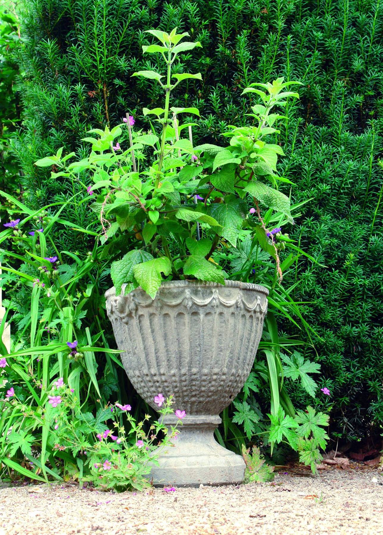 Vienna Leaf Stone Garden Vase
